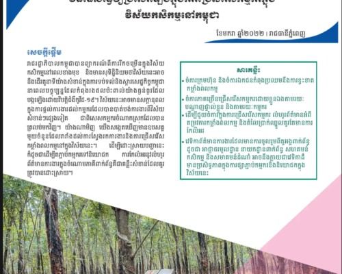 Policy Brief 06 (2022) How-to-Improve-Worker-Recruitment-in-Agriculture-Sector-in-Cambodia-KH