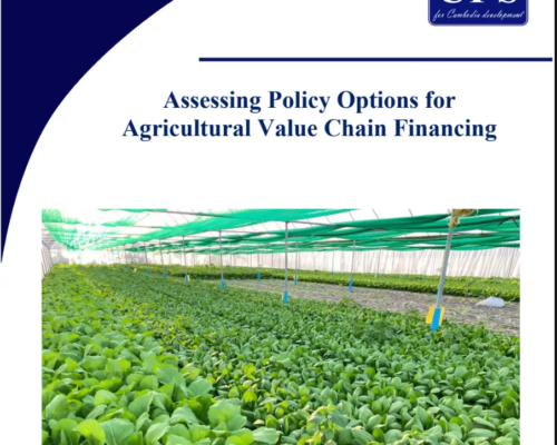 Study Report 19 (2024) Assessing Policy Options for Agricultural Value Chain Financing_EN.pdf
