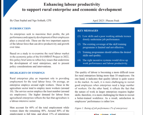 Policy Brief 11 (2023) Enhancing the labour productivity to support rural enterprise and economic development_EN