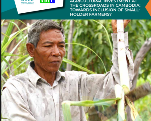 Policy Brief 08 (2022) Agricultural Investment at the Crossroads in